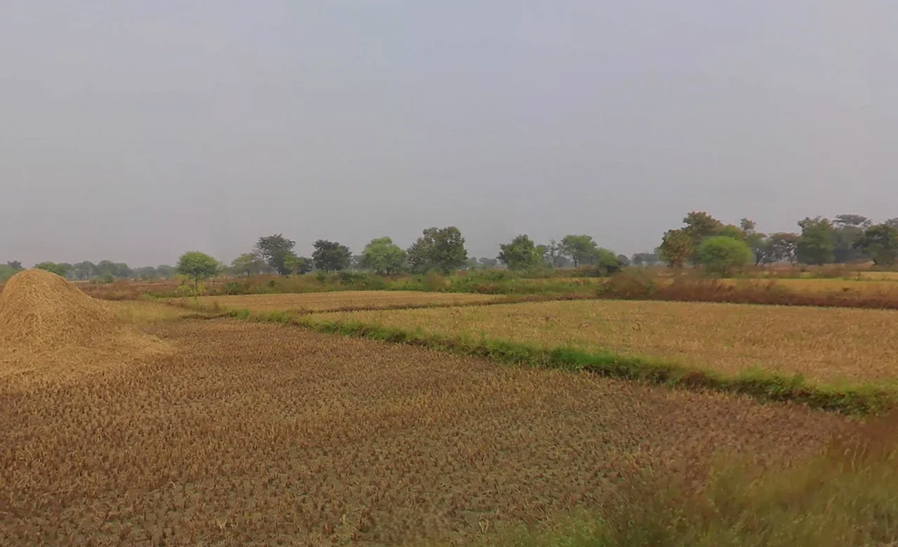 Saiha, Chhattisgarh, India preview 3