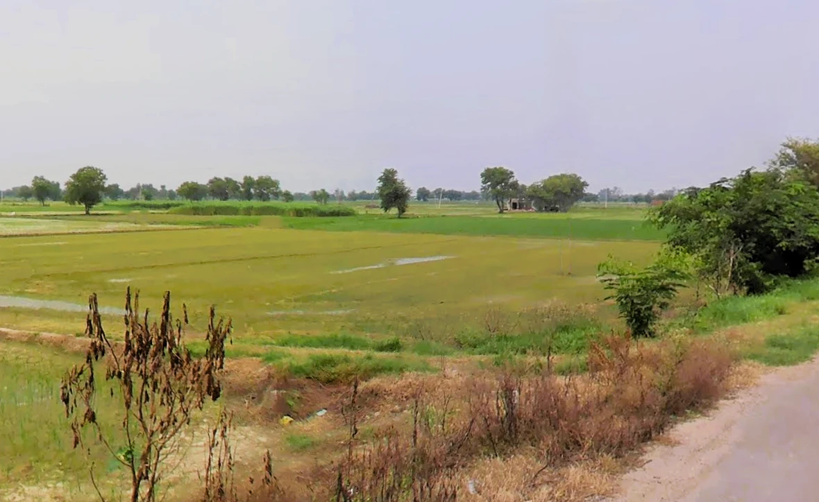 Bhalaut, Haryana 124401, India