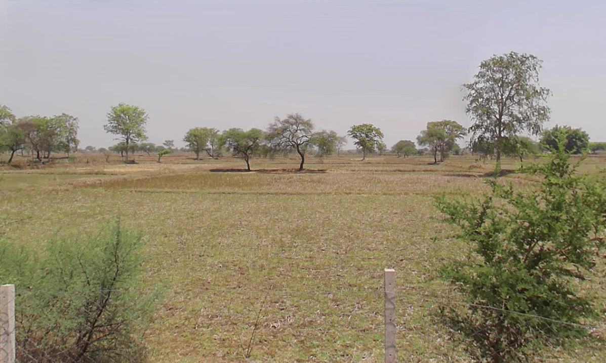 Thelkadih Rd, Chhattisgarh, India