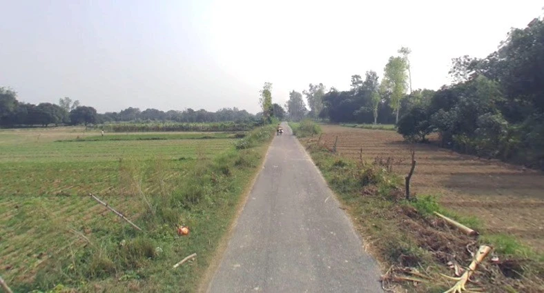 Suraiya Nagar, Madhya Pradesh 462042, India