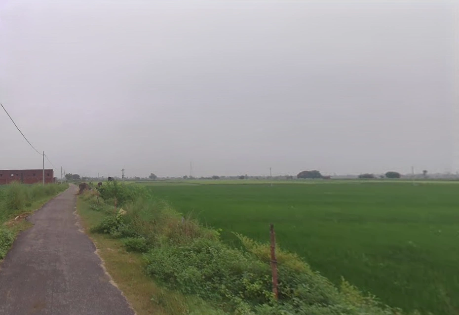 Dhampur Kando, Uttar Pradesh 244410, India