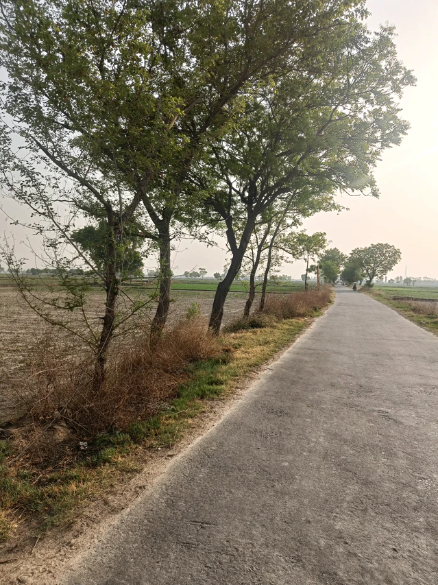 Amritsar, Punjab, India