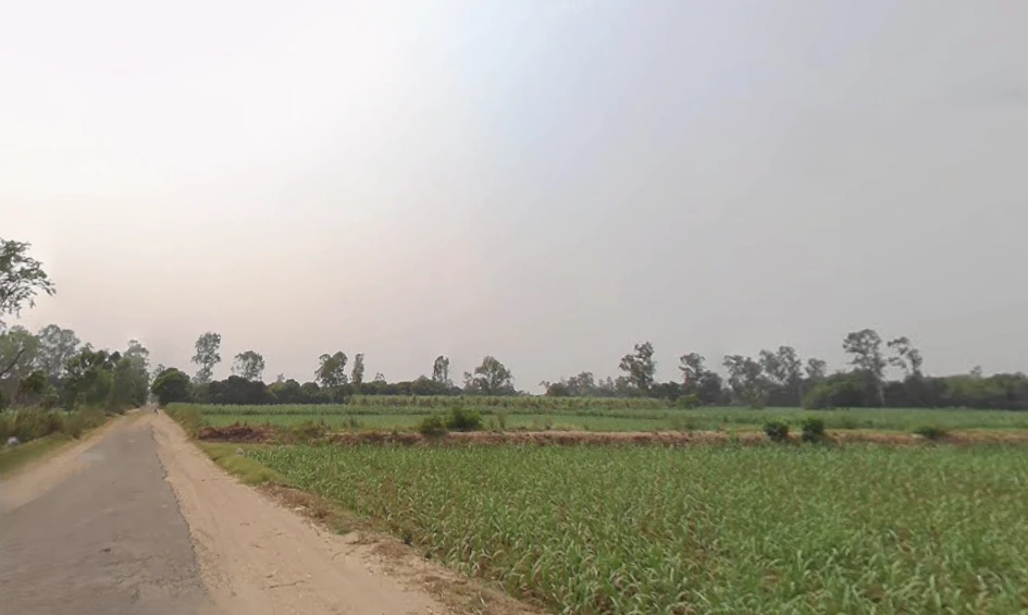 Mawana, Uttar Pradesh, India