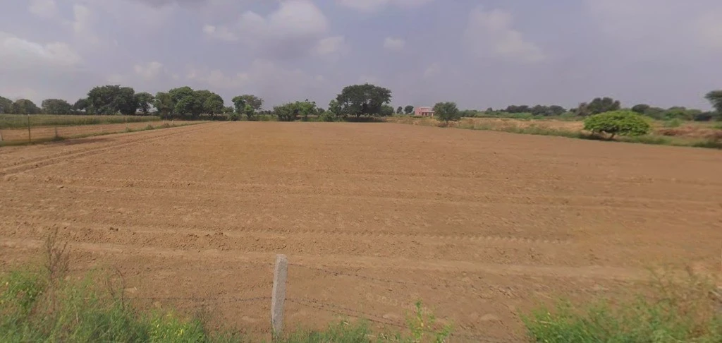 Sirsa, Haryana, India