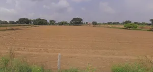 Sirsa, Haryana, India preview 3