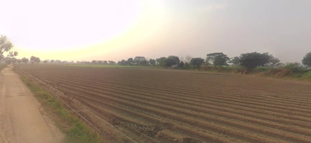 Meloj, Gujarat 384151, India