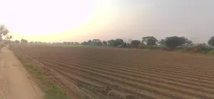Meloj, Gujarat 384151, India preview 3