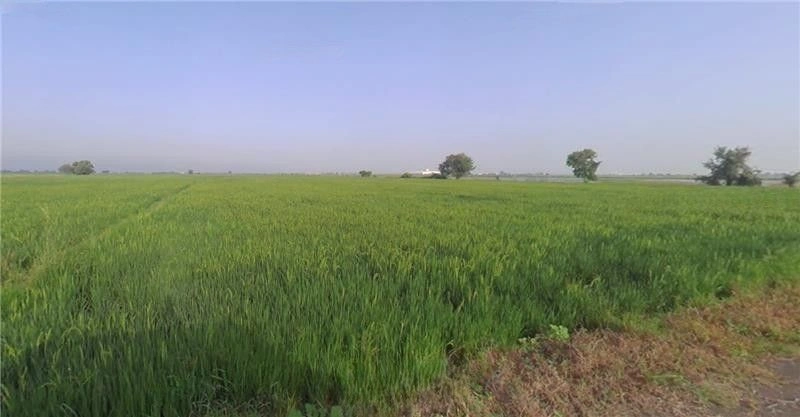 X38W+GJ Shipole, Maharashtra, India