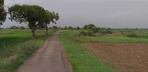 Bikaner, Rajasthan, India preview 3
