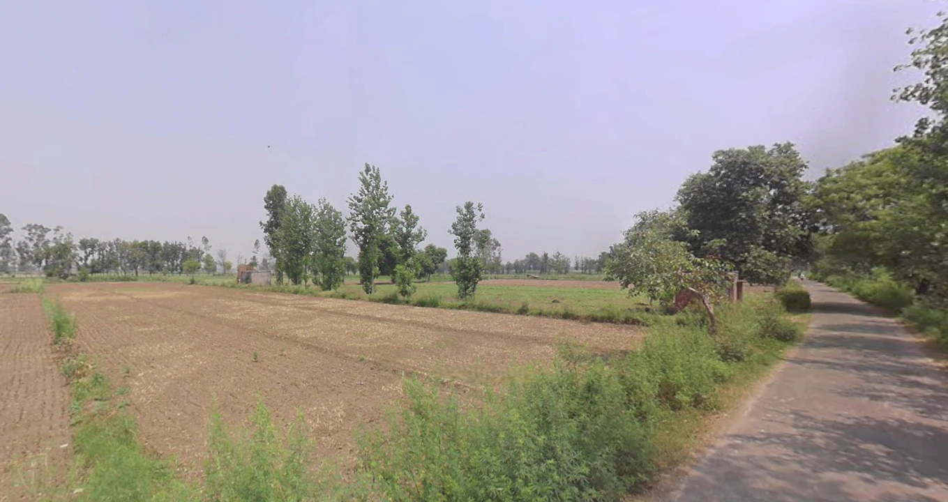 Siyana, Uttar Pradesh 203412, India
