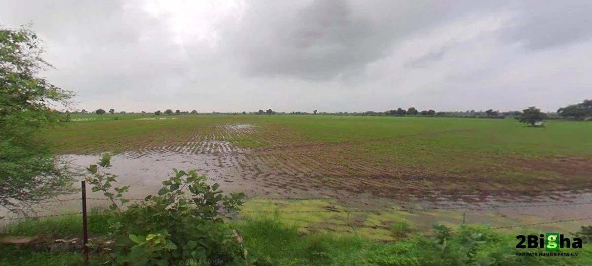 Beri, Haryana 124201, India