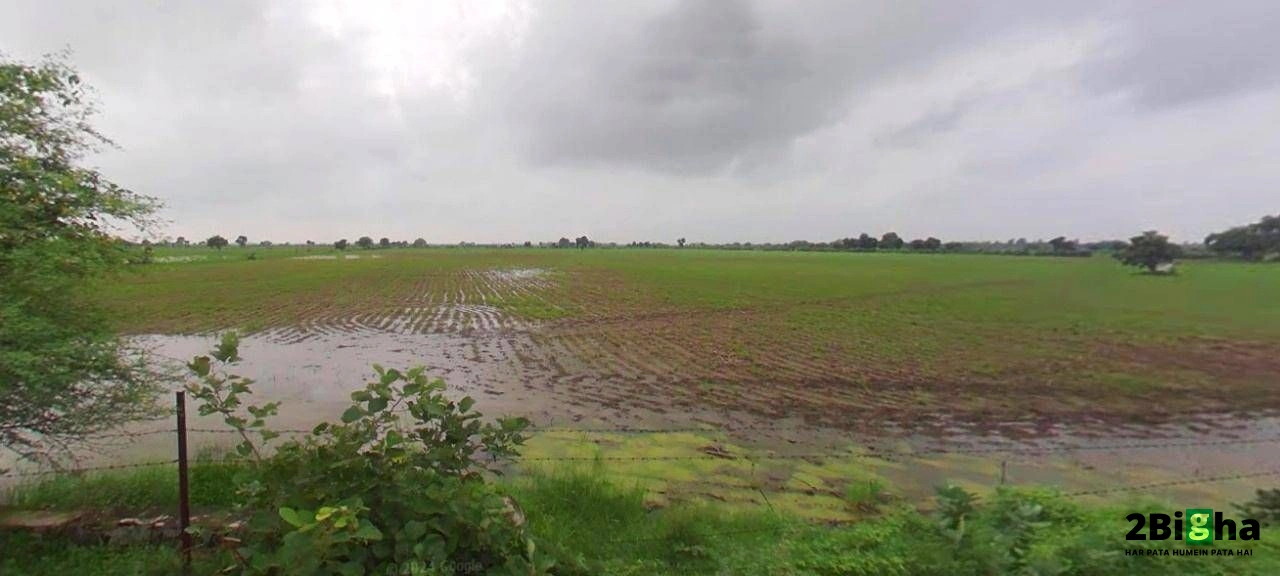 Beri, Haryana 124201, India