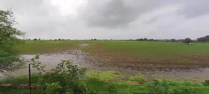 Beri, Haryana 124201, India preview 2