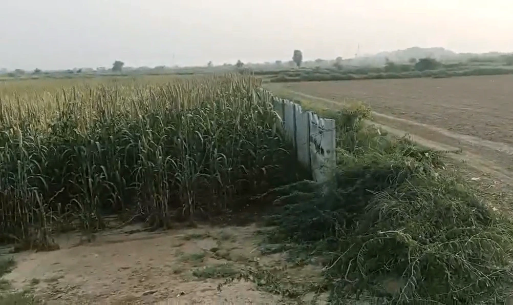 G65Q+72 Nagla Khoh, Deeg, Rajasthan, India - Photo 3