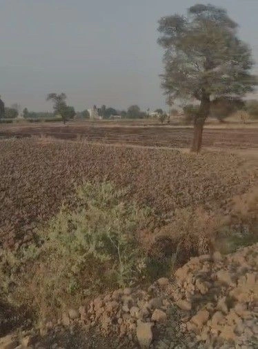 P3J2+3WW, Ankya, Madhya Pradesh 452016, India