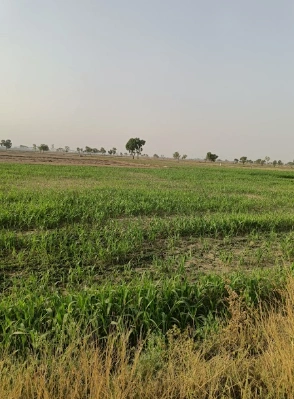 Chitri, Uttar Pradesh 243635, India