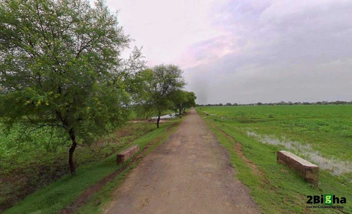 CX2M+VCH, Kherki Daula, Sector 84, Gurugram, Haryana 122012, India