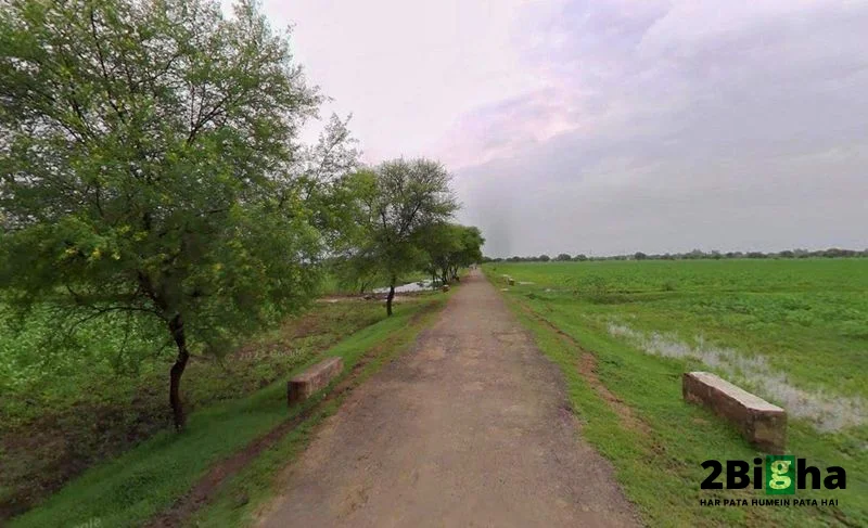 CX2M+VCH, Kherki Daula, Sector 84, Gurugram, Haryana 122012, India preview 2