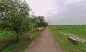 CX2M+VCH, Kherki Daula, Sector 84, Gurugram, Haryana 122012, India preview 2