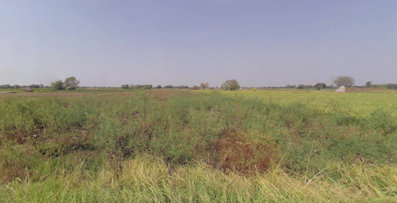 Singa Patti, Uttar Pradesh 281123, India