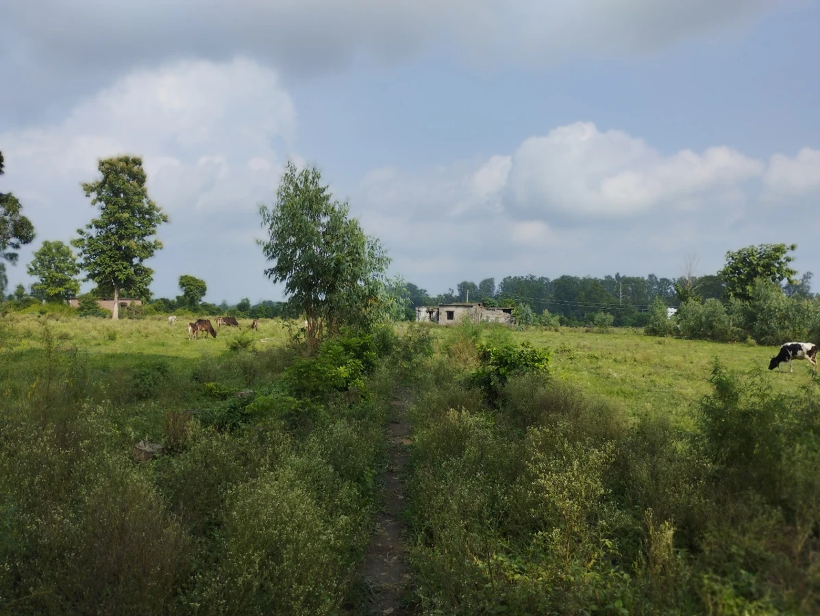 Modinagar - Sonda Rd, Sonda, Uttar Pradesh 201204, India