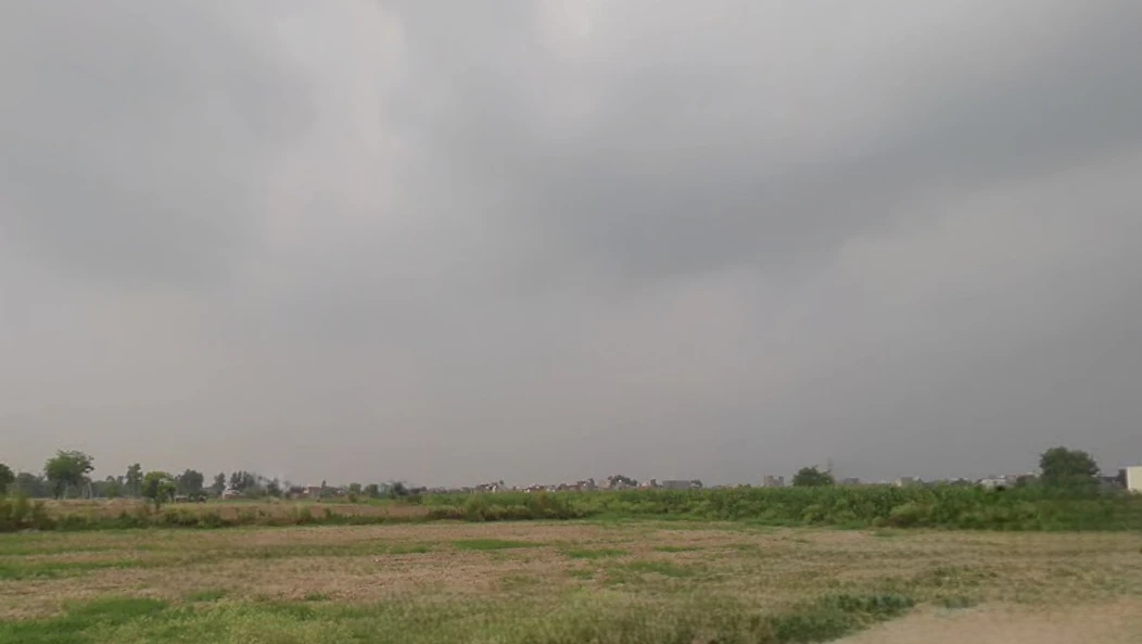 Kadian, Punjab 141008, India