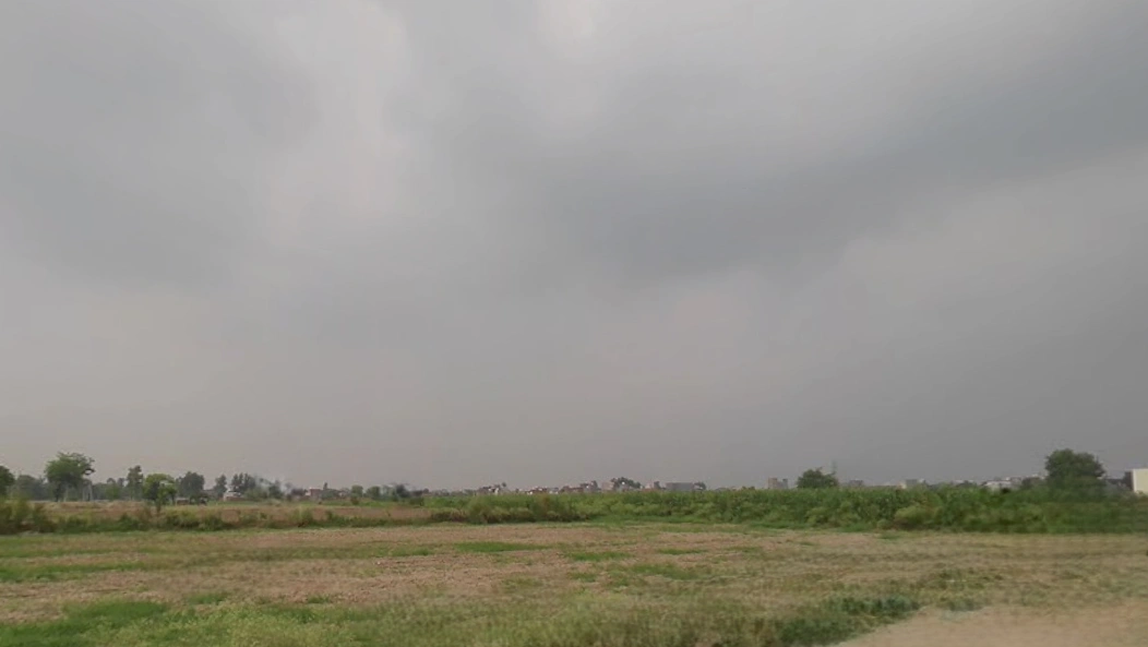 Kadian, Punjab 141008, India