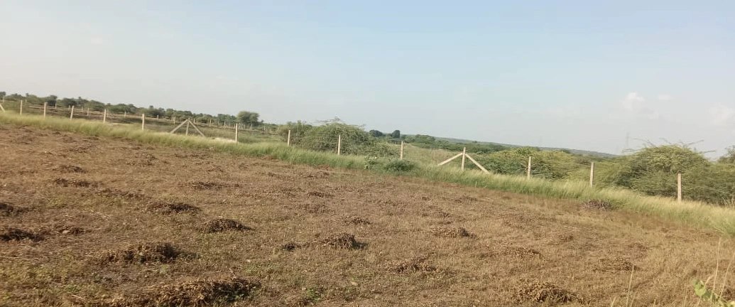 Sector 52, Gurugram, Haryana, India