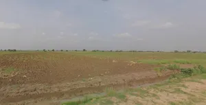 Sri Ganganagar, Rajasthan, India preview 3