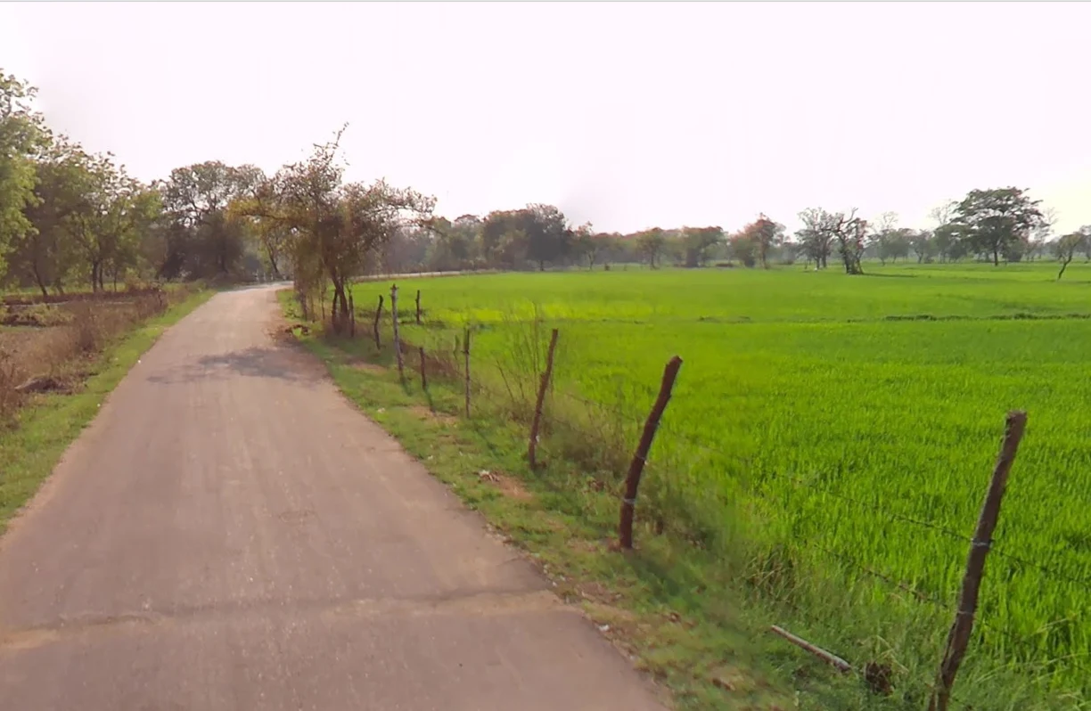 Tarpongi, Chhattisgarh 493116, India