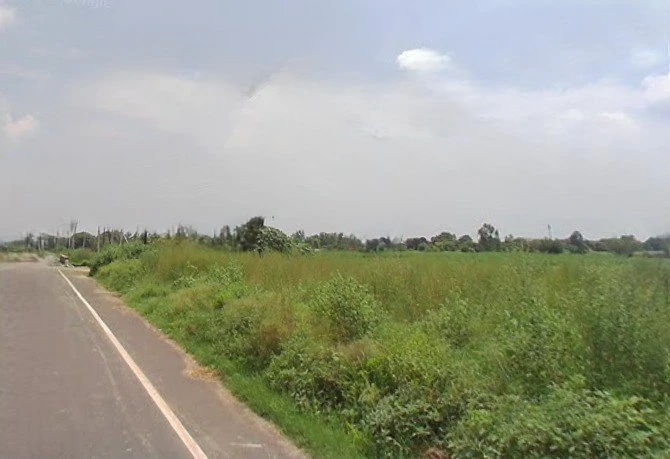 Budhana, Uttar Pradesh 251309, India