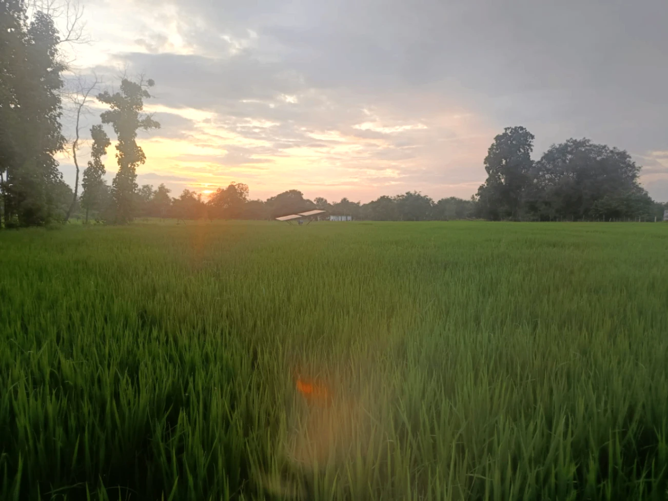 Gari Pipliya, Indore, Ramgarh, Madhya Pradesh 452016, India