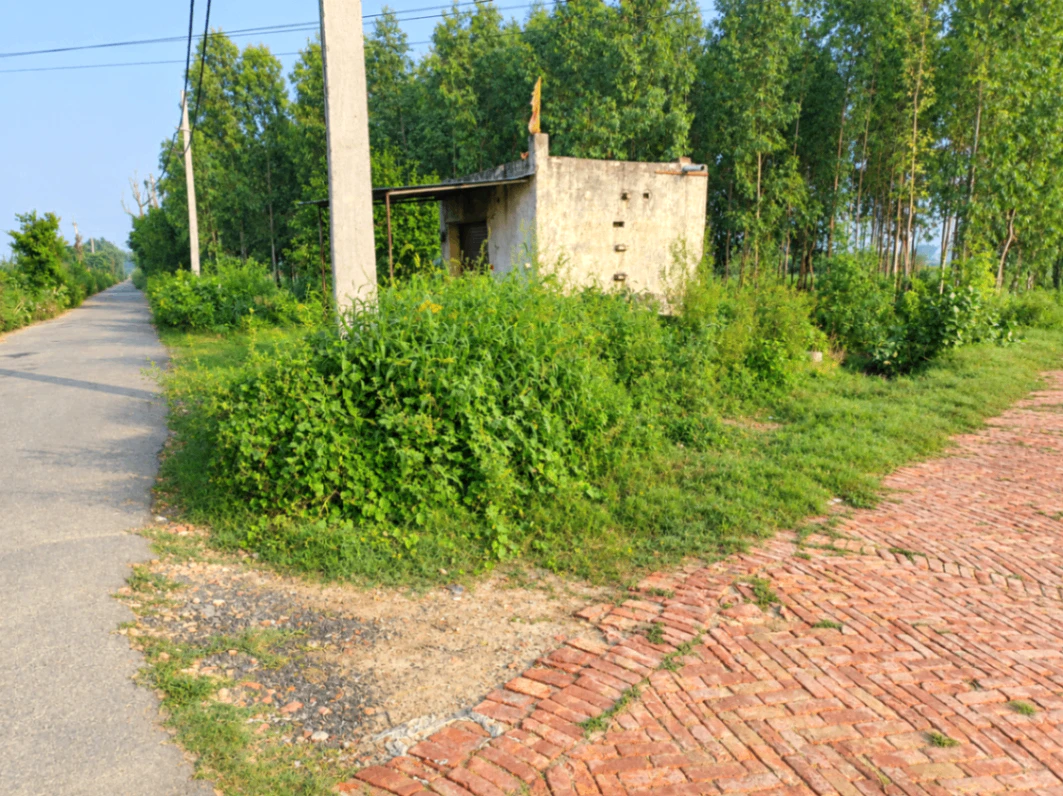 Jalalpur 1, Panipat, Haryana 132104, India