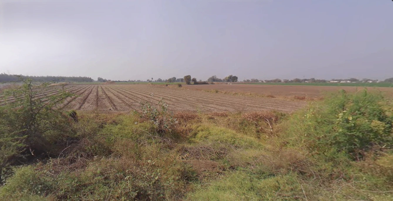 Paddhari, Gujarat 360110, India