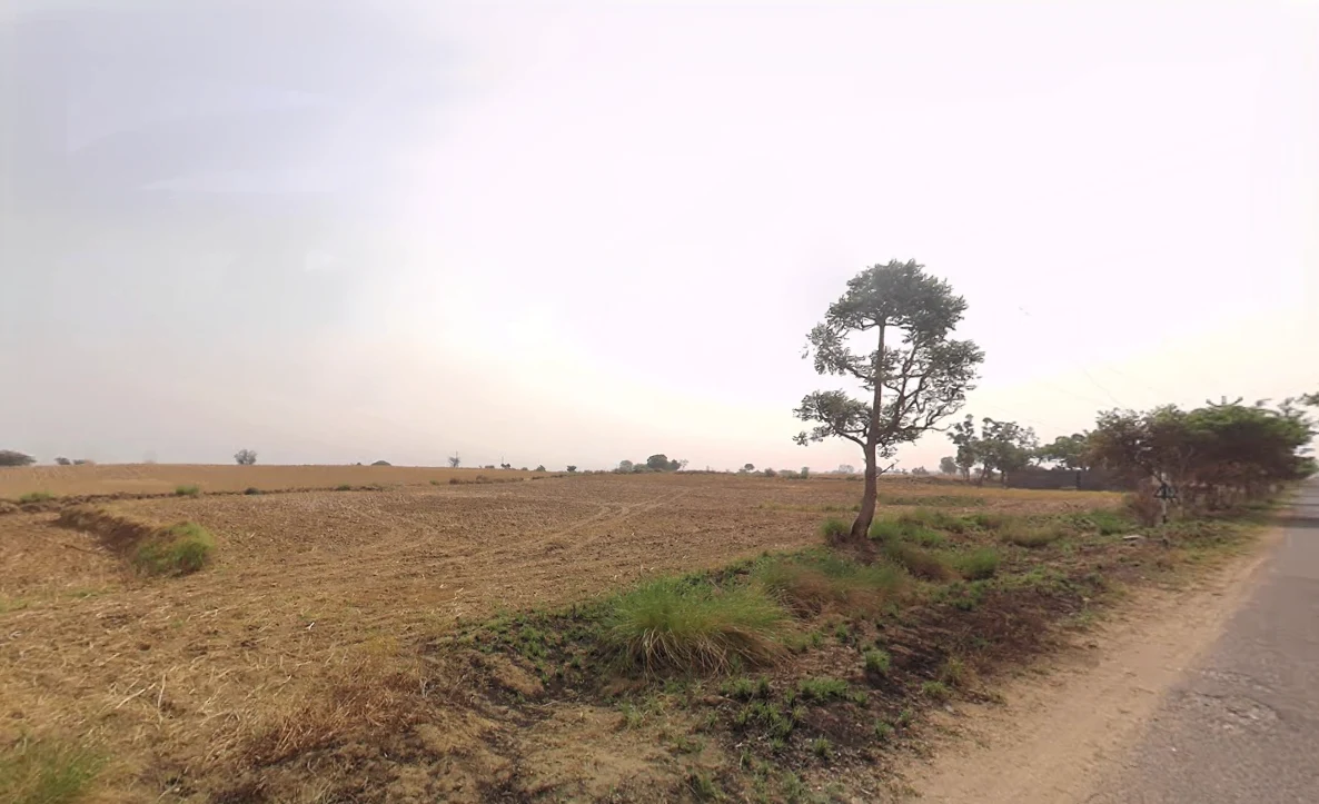 Kutani, Haryana 124103, India