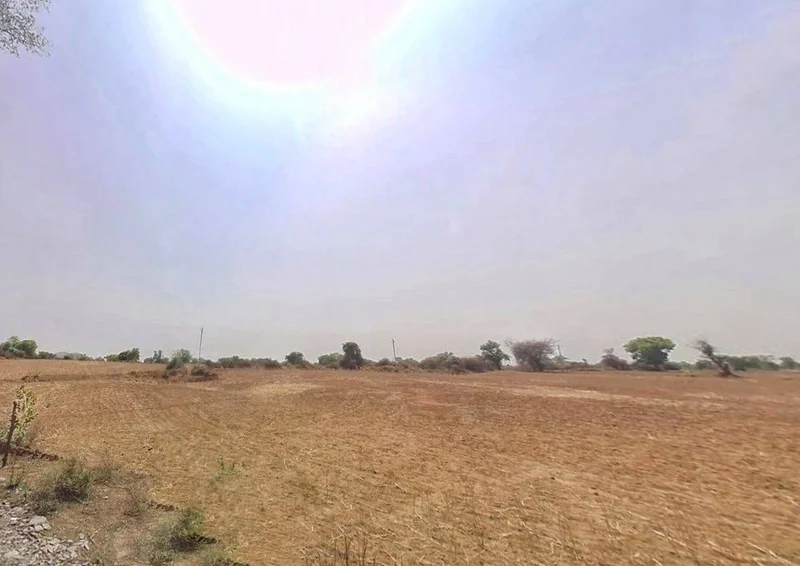 3FXF+RP Rajgarh, Haryana, India preview 3