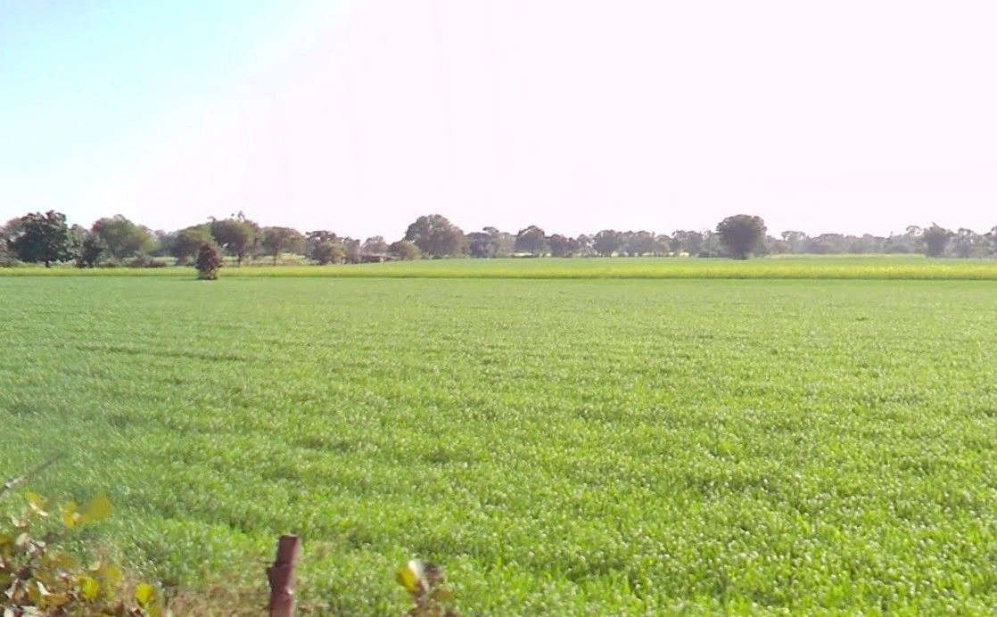 Hinotiya, Madhya Pradesh 464226, India