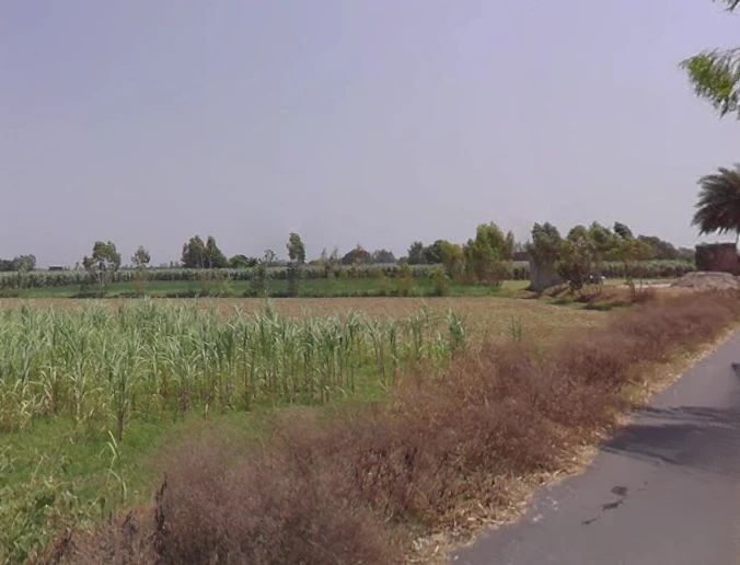 Moradabad, Uttar Pradesh, India