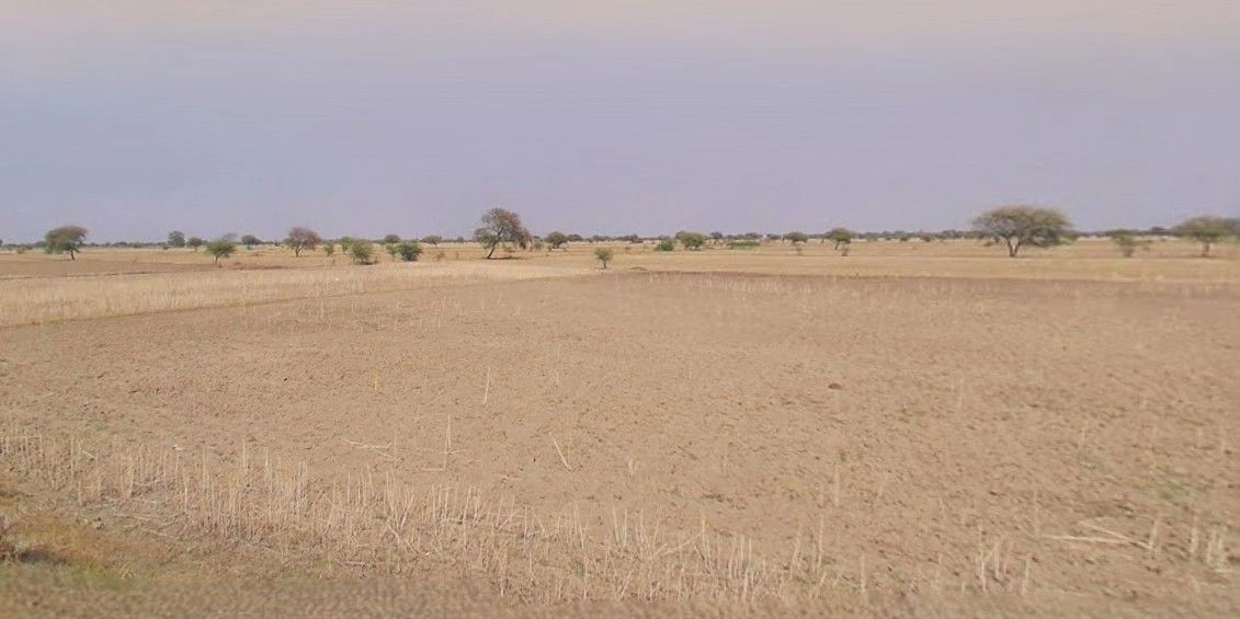 Anupgarh, Rajasthan 335701, India