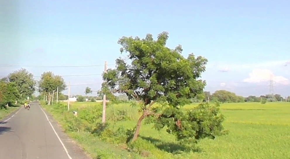 Sajod, Madhya Pradesh 465001, India