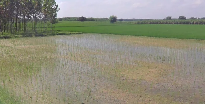 Indore, Madhya Pradesh, India preview 3