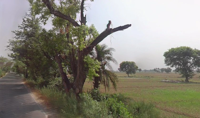 Sikandrabad, Uttar Pradesh 203205, India