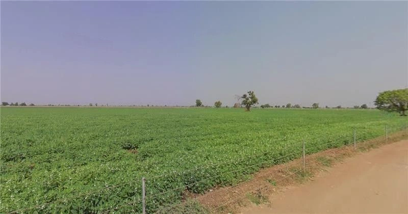 Mahabaleshwar, Maharashtra 412806, India