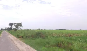 Behsuma, Uttar Pradesh 250401, India preview 2