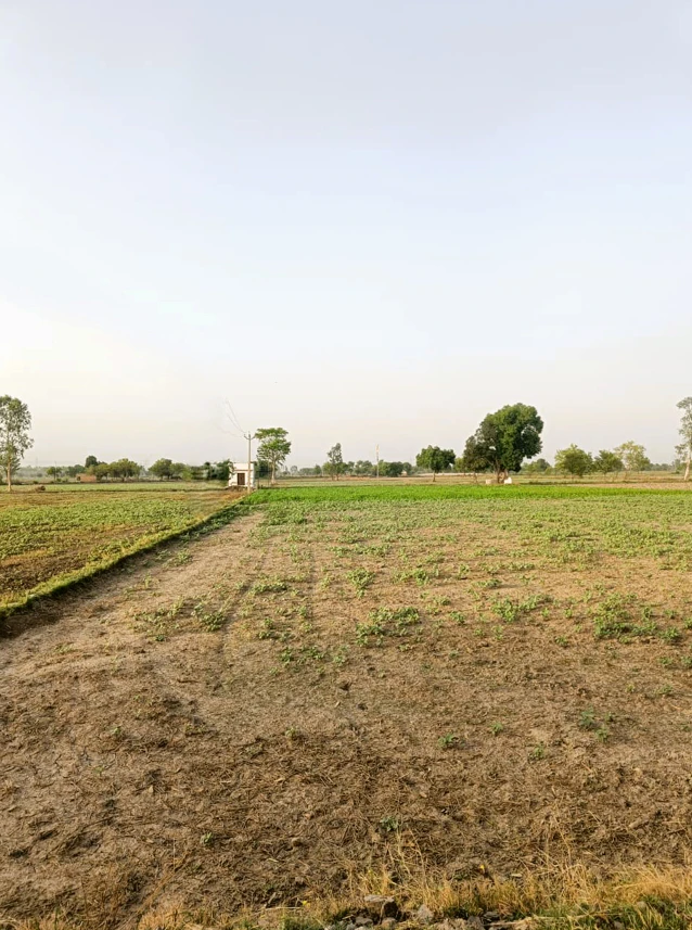 8PH6+X6 Khejroli, Jaipur, Rajasthan, India