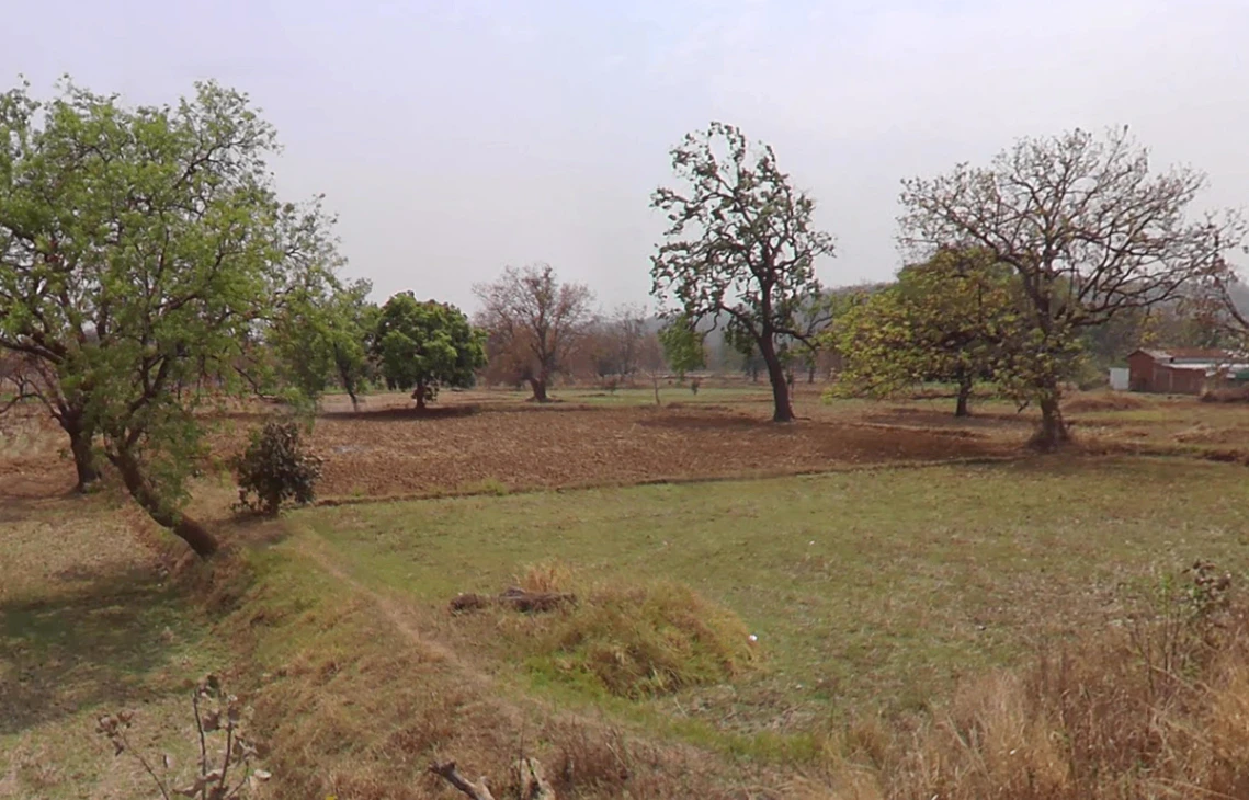 Sivni, Chhattisgarh 491226, India