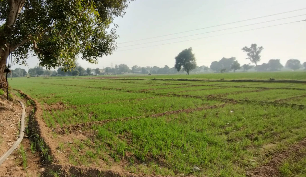 Mallian, Punjab, India