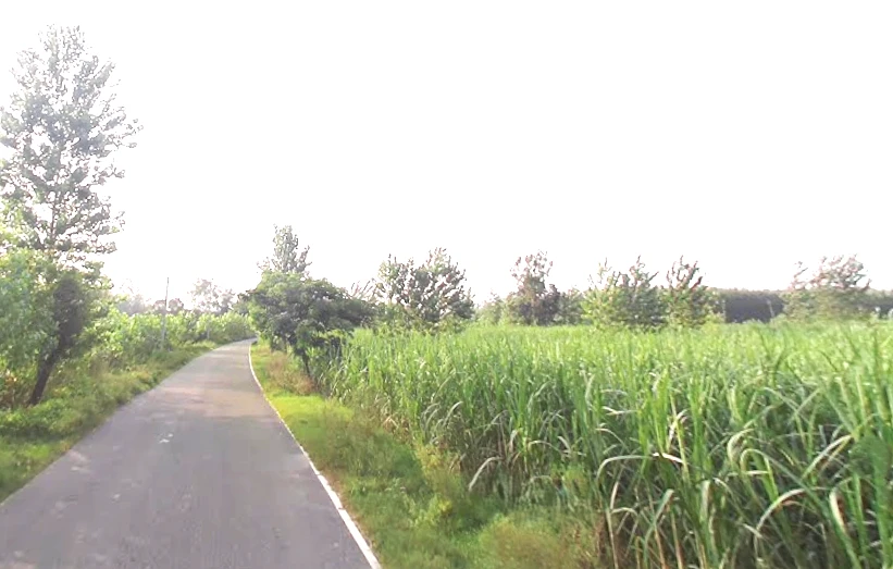 Takipur Aht., Uttar Pradesh 247662, India