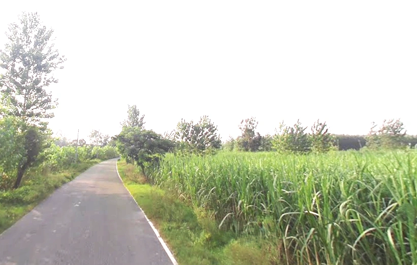 Takipur Aht., Uttar Pradesh 247662, India