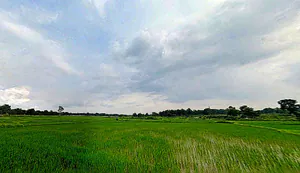 Balrampur, Jharkhand 832108, India preview 3